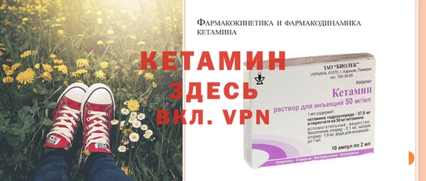 дурь Бородино