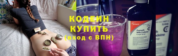 дурь Бородино