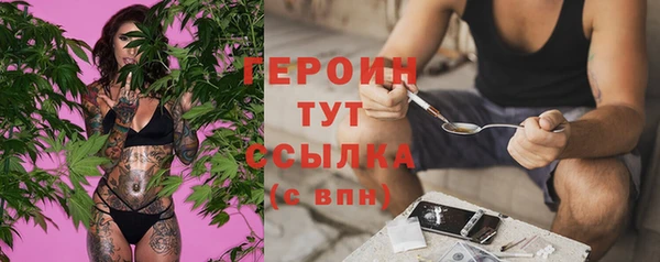 дурь Бородино