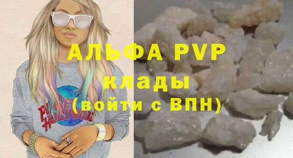 дурь Бородино