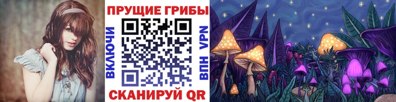 Галлюциногенные грибы Psilocybine cubensis  где можно купить   блэк спрут сайт  Верхняя Тура 